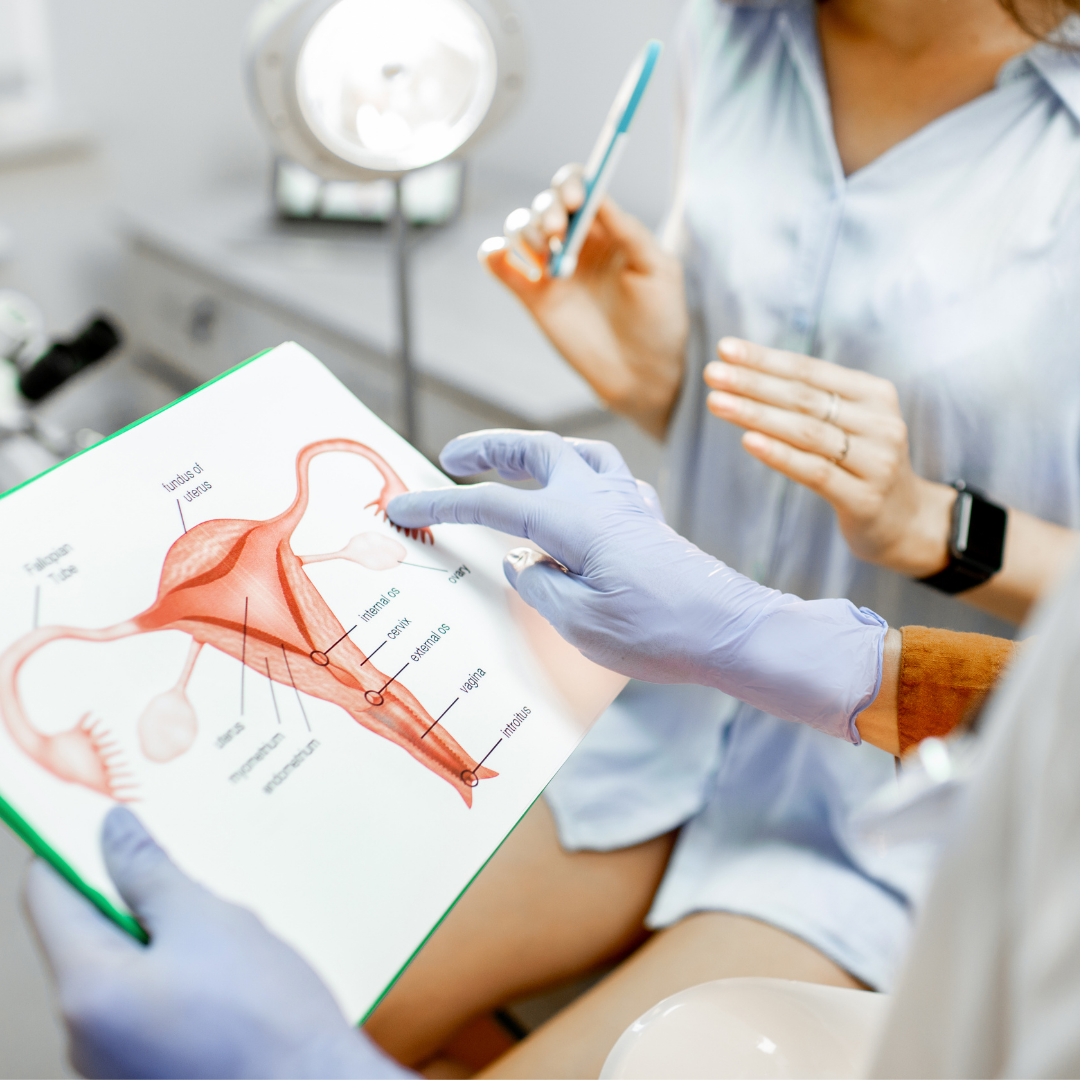Gynecology Bellingham Gynecology Bellingham